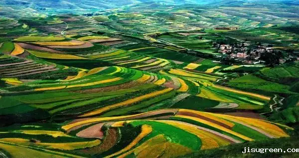 点点taptap手机官网密封与你一起植树环保