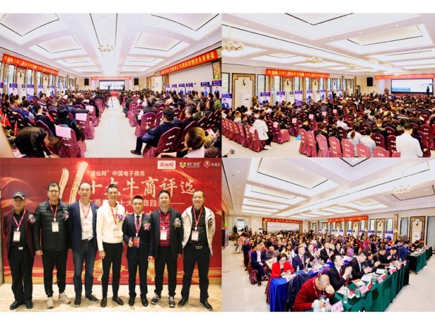 2019年第11届中国十大牛商评选东莞赛区路演——点点taptap手机官网夺冠之路！